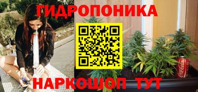 крисы Гусь-Хрустальный