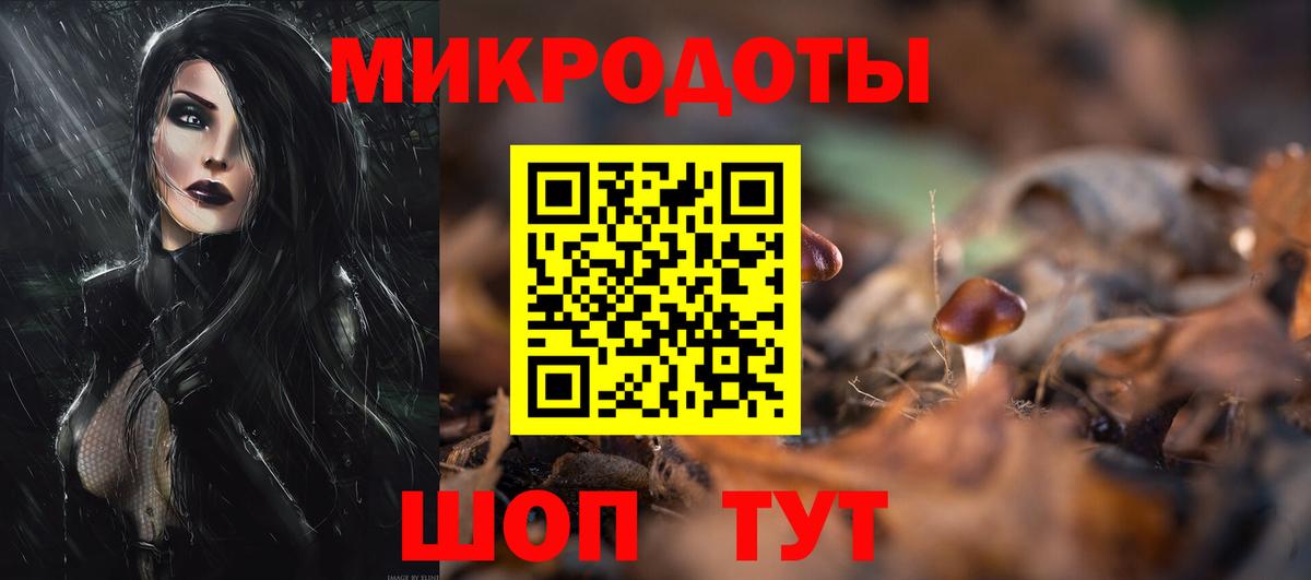 Галлюциногенные грибы Psilocybe Можга