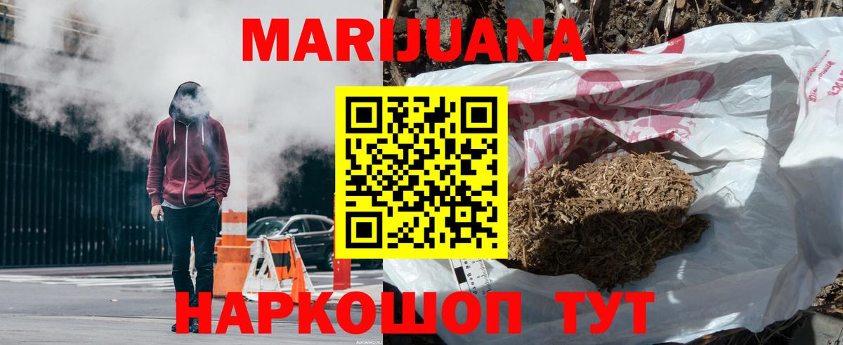 Канабис гибрид Можга